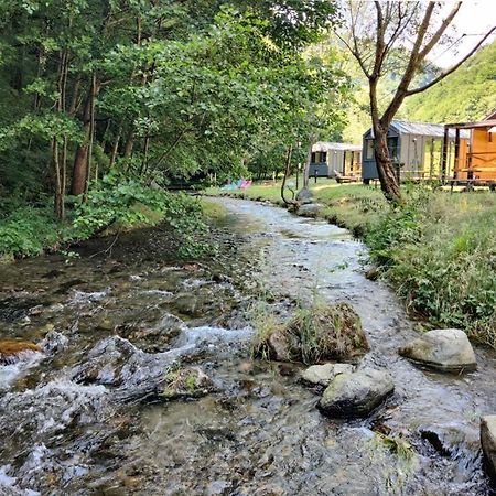 Transfagarasan River Retreat Арефу Экстерьер фото